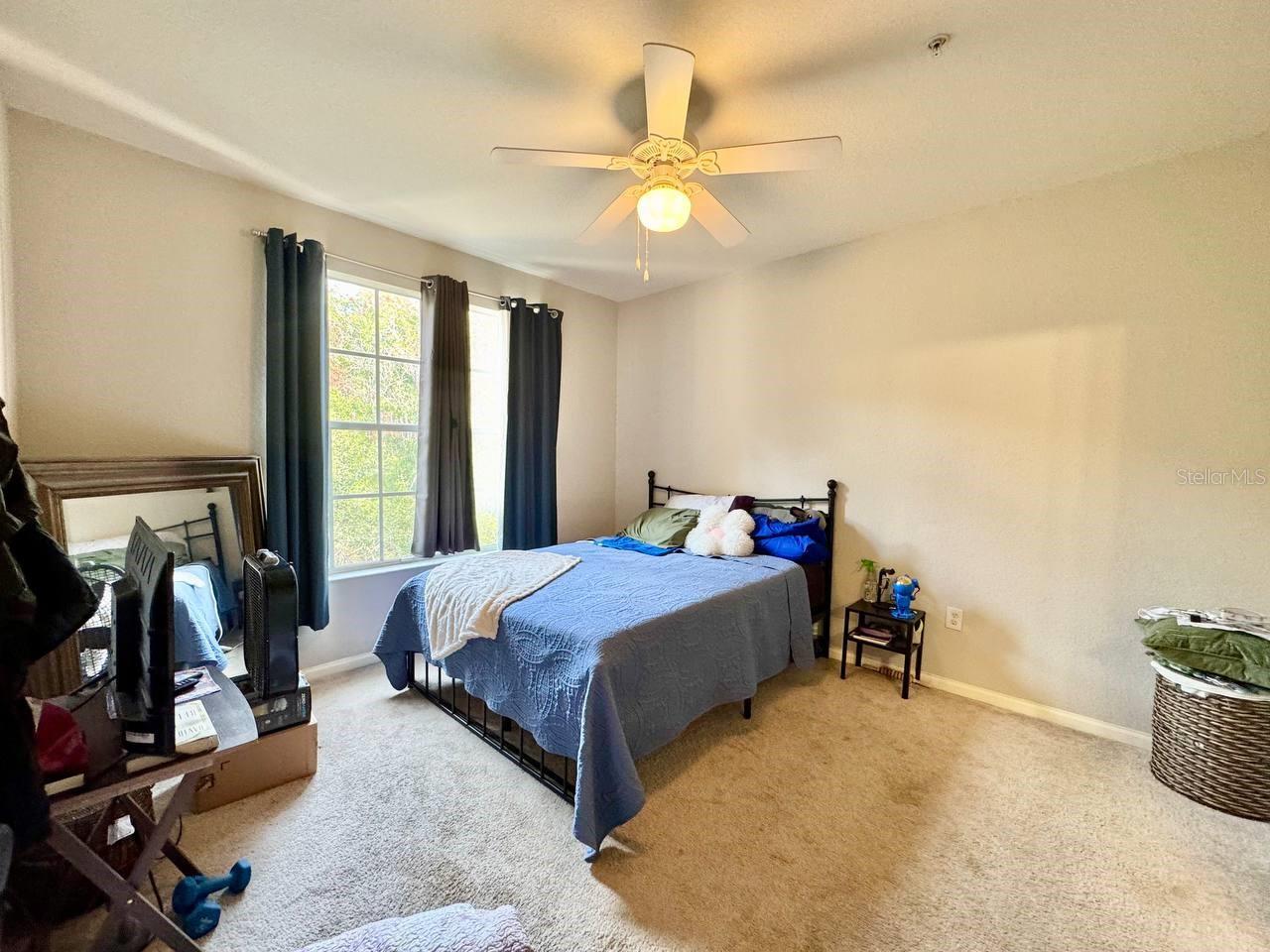 OXFORD PLACE AT TAMPA PALMS A - Residential