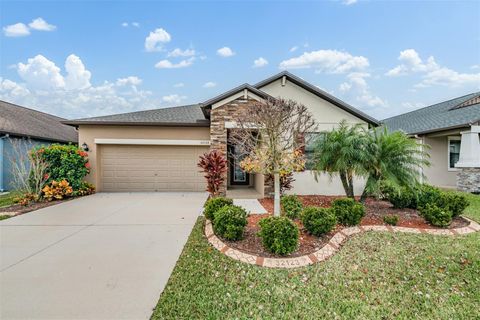 Photo of 32123 Goddard Drive, Wesley Chapel, FL 33543 (MLS # TB8467606)