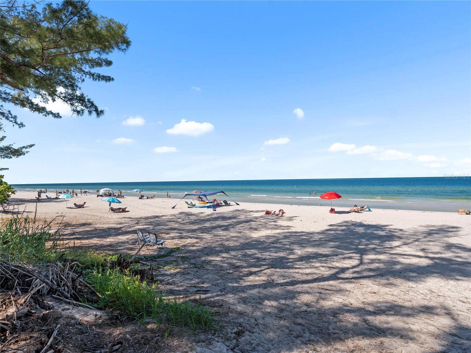 DOLPHIN REEF CONDO - Residential