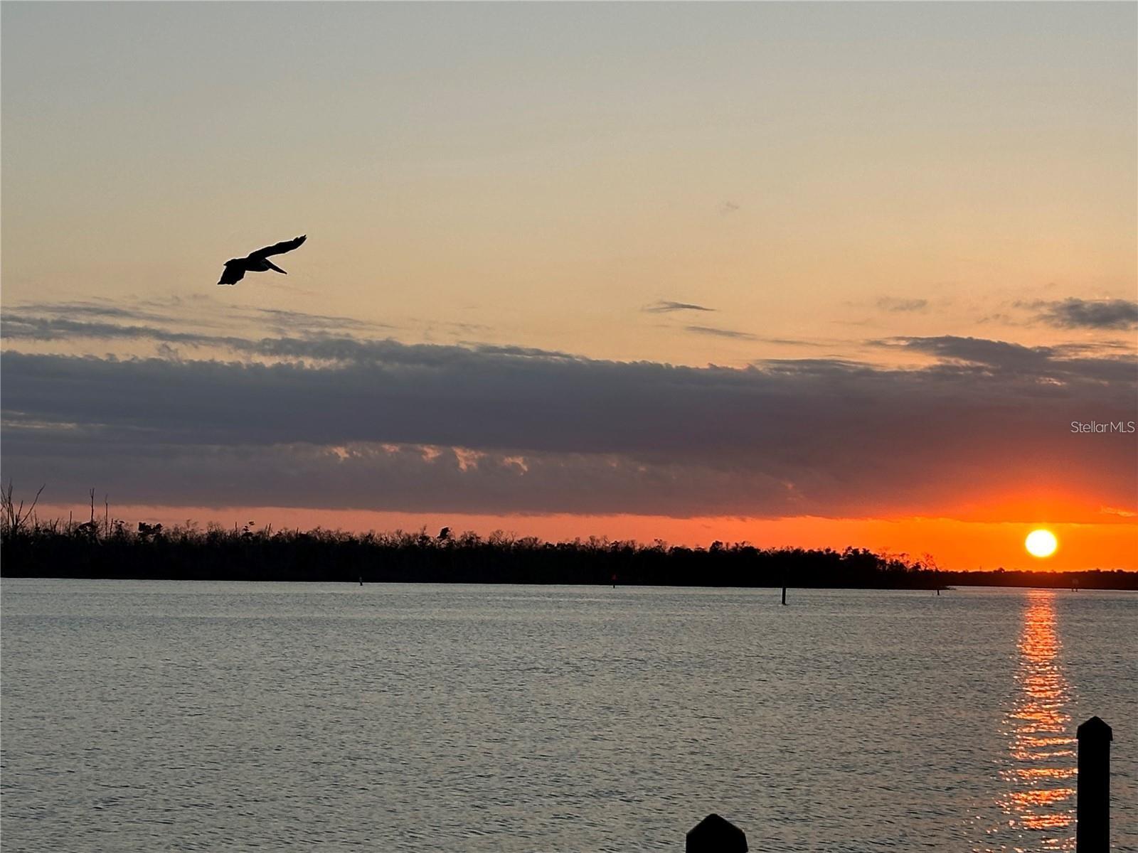 PARK POINTE MOB HME VLGE - Land