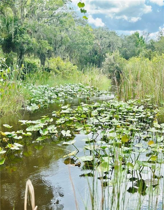 REEDY LAKE CRK - Land