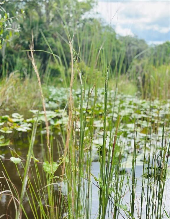 REEDY LAKE CRK - Land