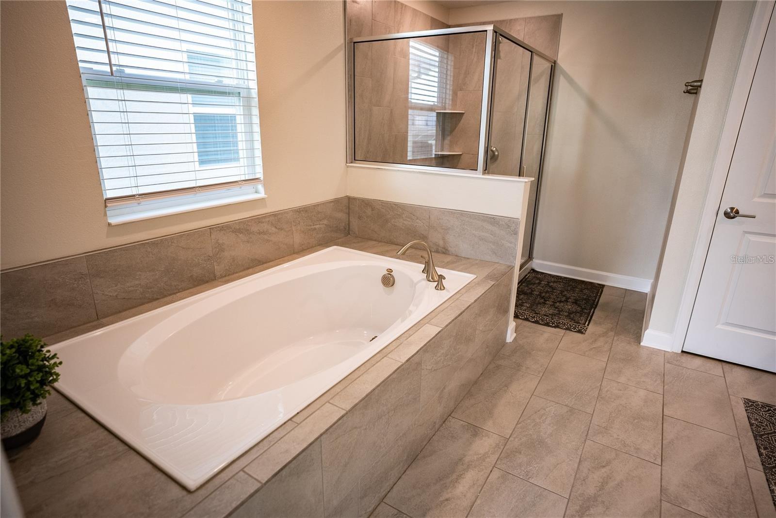 COVE AT STOREY LAKE II - Residential