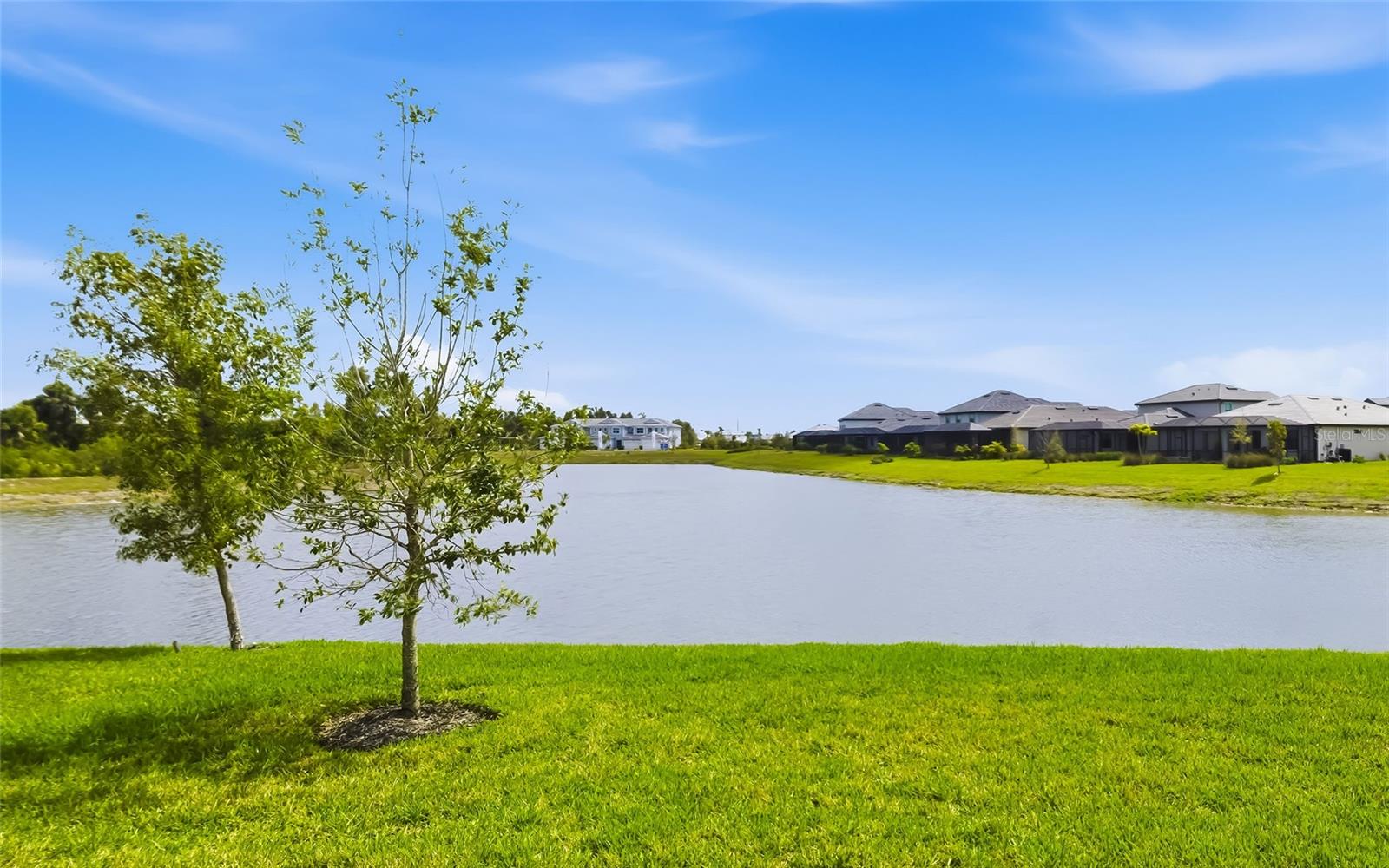 LAKESPUR AT WELLEN PARK3570 - Residential