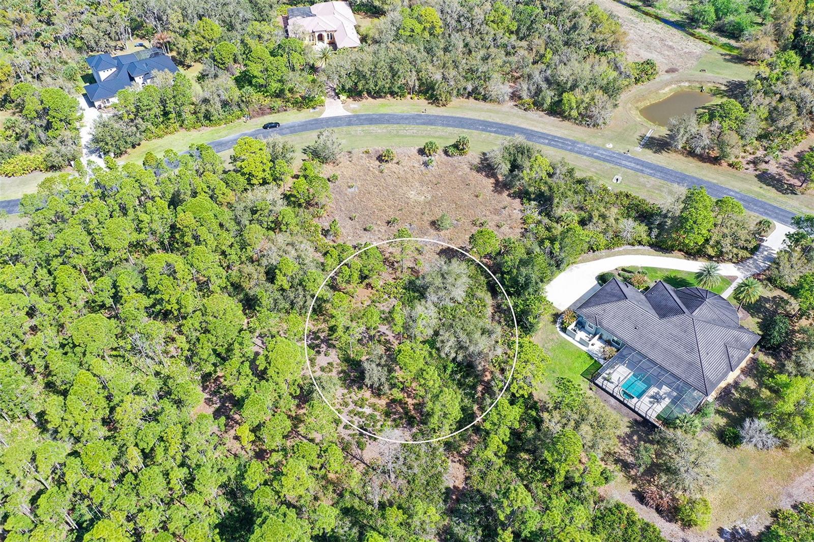 FOREST AT THE HI HAT RANCH - Land