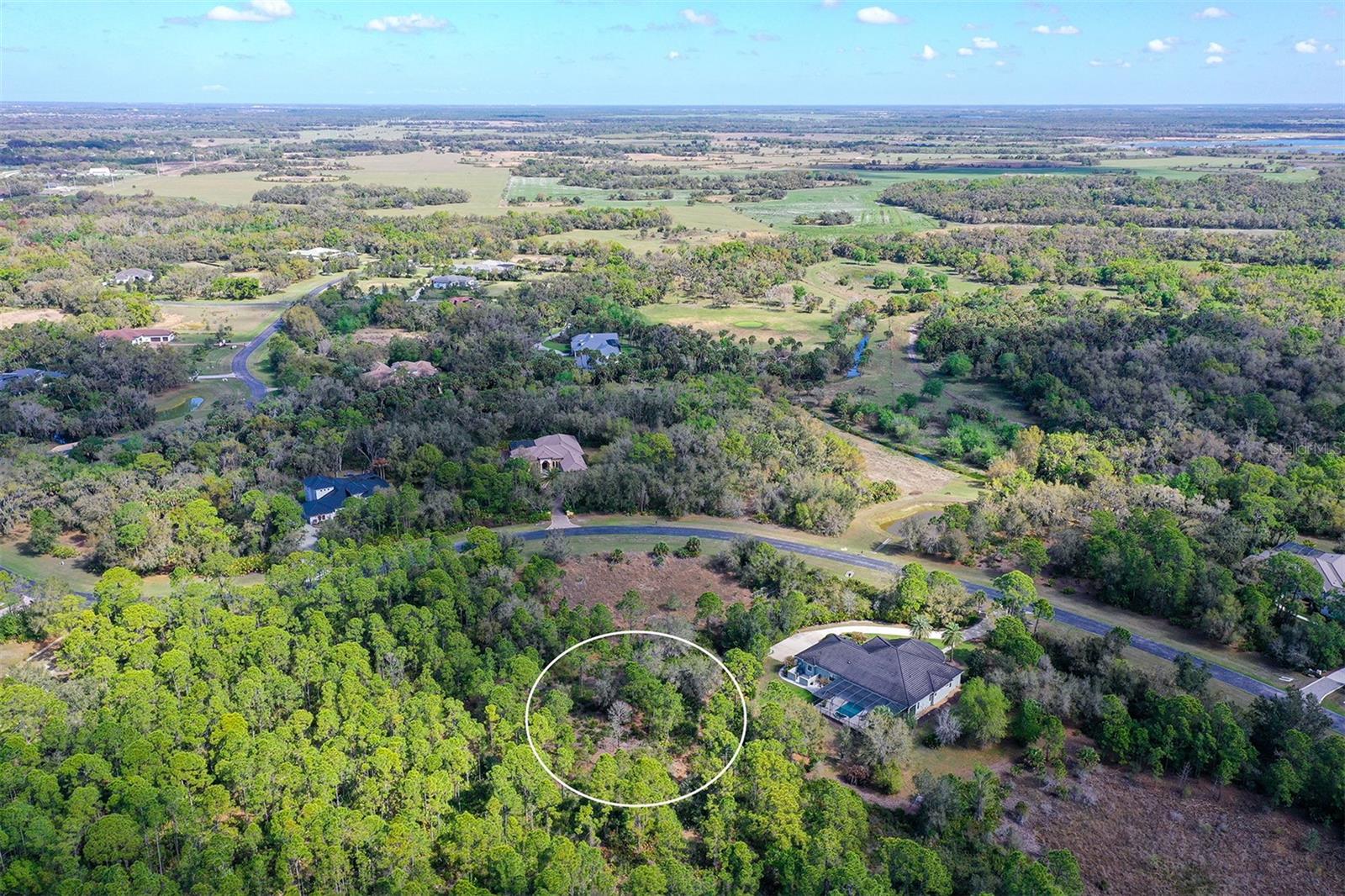 FOREST AT THE HI HAT RANCH - Land