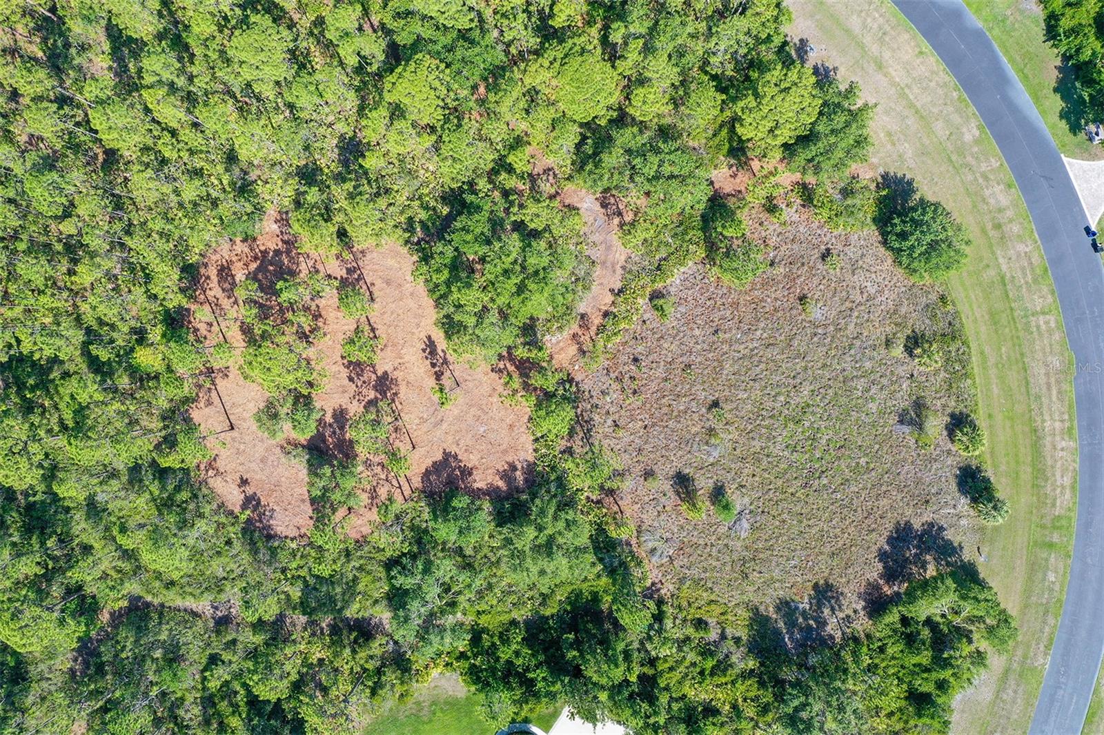 FOREST AT THE HI HAT RANCH - Land