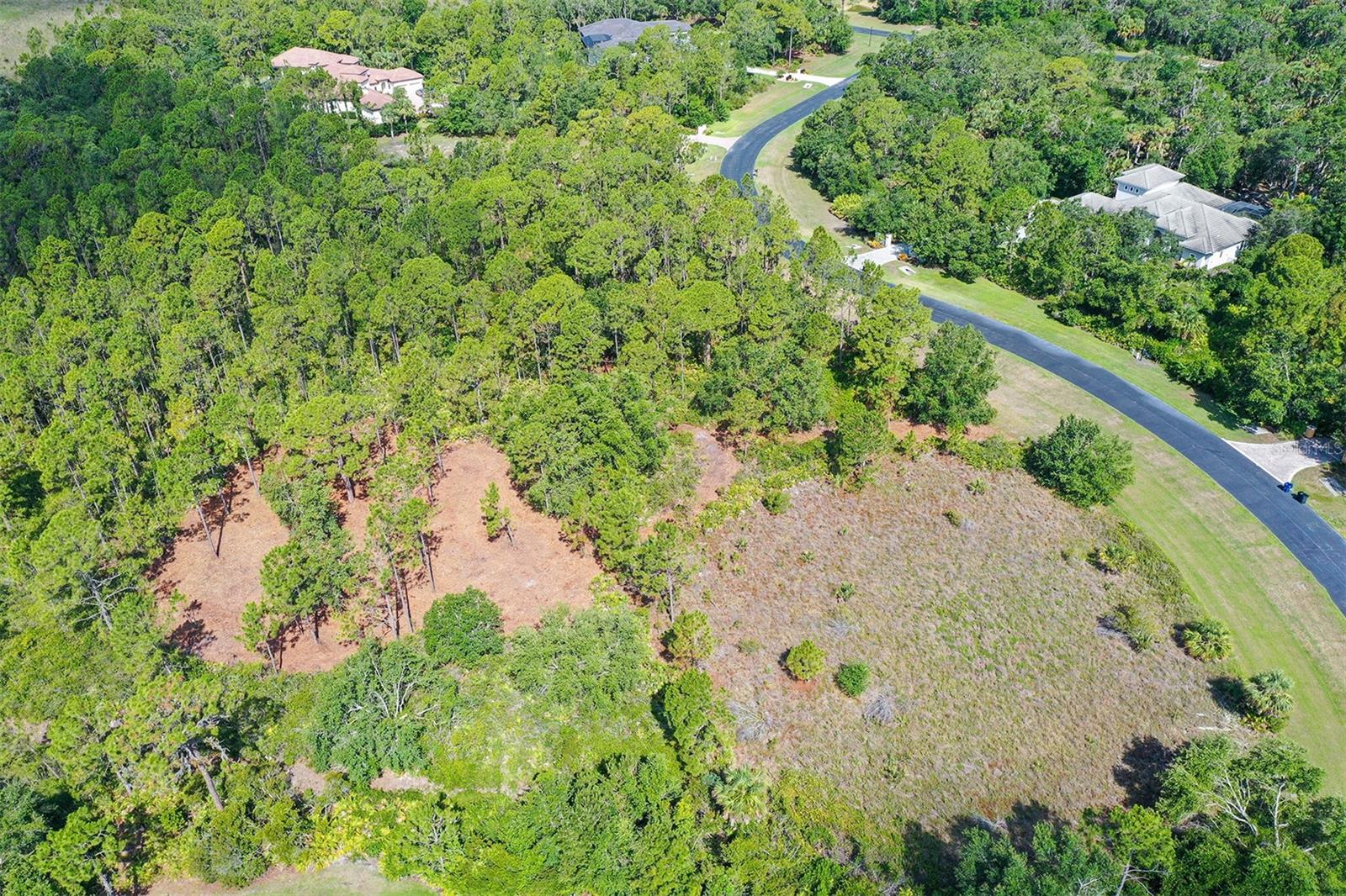 FOREST AT THE HI HAT RANCH - Land