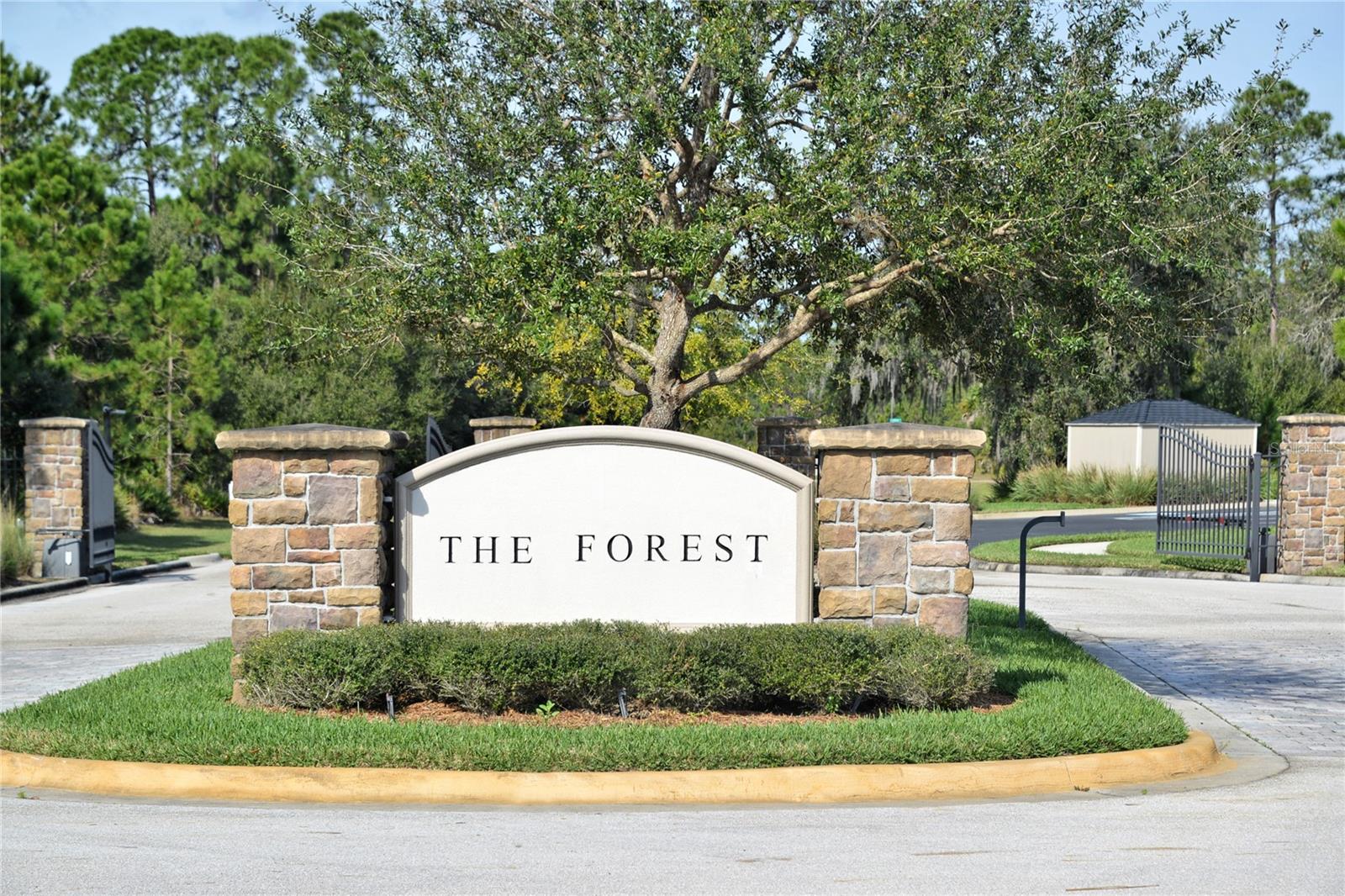 FOREST AT THE HI HAT RANCH - Land