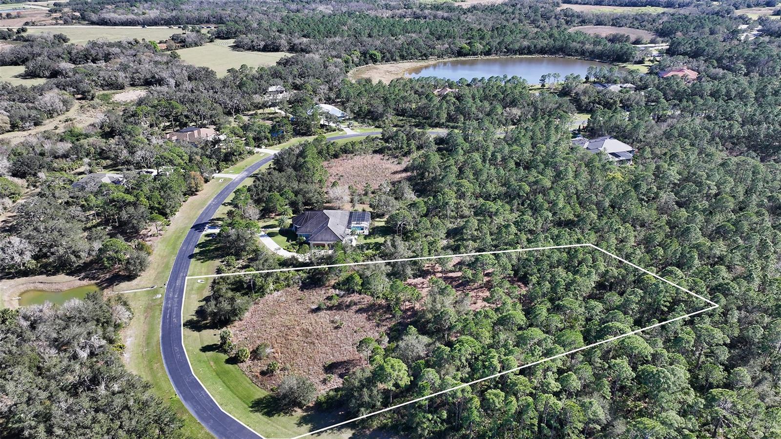 FOREST AT THE HI HAT RANCH - Land
