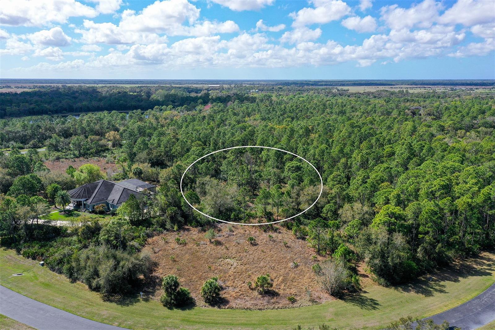 FOREST AT THE HI HAT RANCH - Land