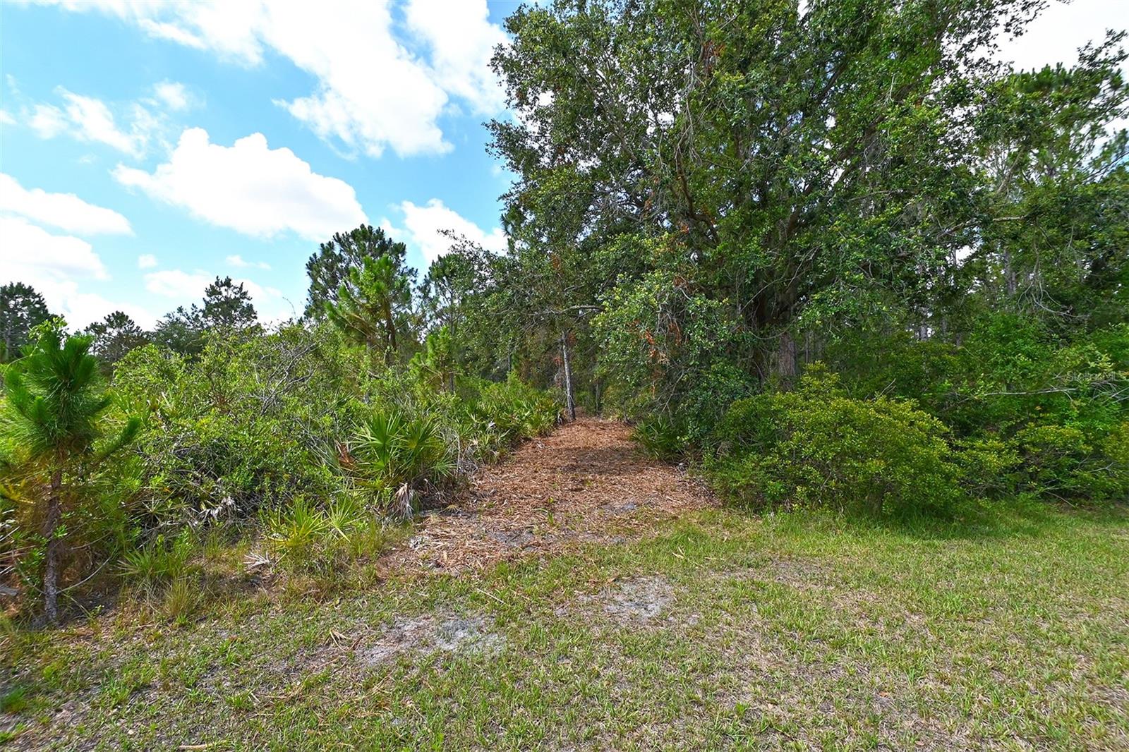 FOREST AT THE HI HAT RANCH - Land