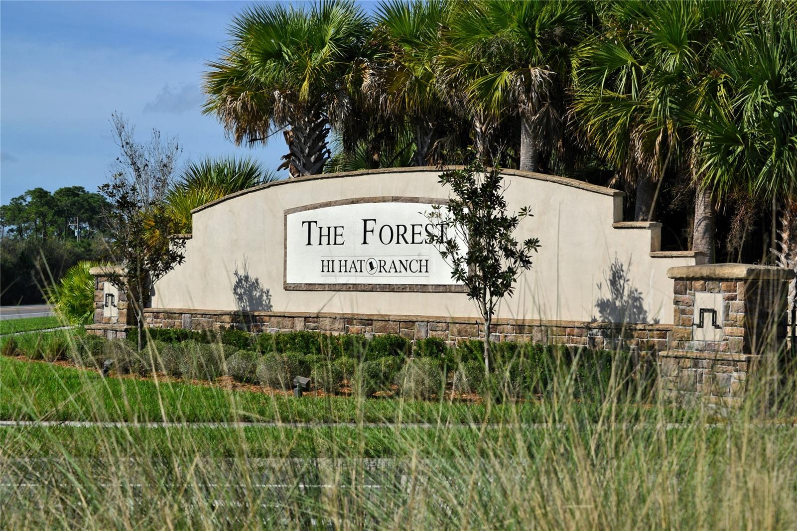 FOREST AT THE HI HAT RANCH - Land