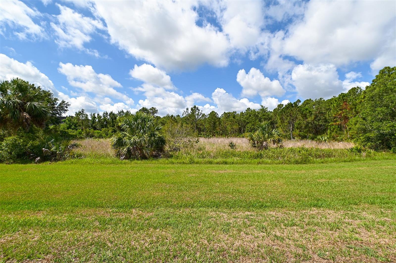 FOREST AT THE HI HAT RANCH - Land