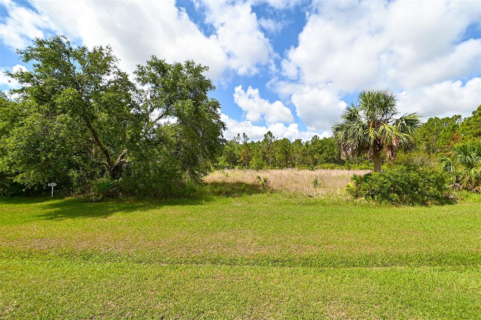 FOREST AT THE HI HAT RANCH - Land