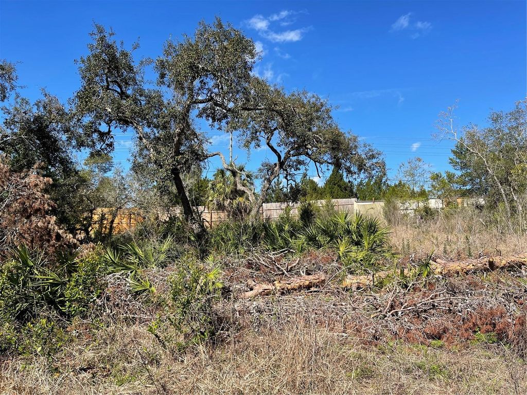 Photo of 16883 Dry Tortugas Run, Hudson, FL 34667 (MLS # W7873795)