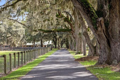 Tiny photo for 551 NE 200 Avenue, Williston, FL 32696 (MLS # O6351165)