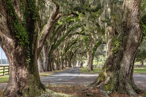 Tiny photo for 551 NE 200 Avenue, Williston, FL 32696 (MLS # O6351165)