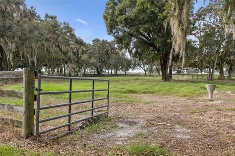 Tiny photo for 551 NE 200 Avenue, Williston, FL 32696 (MLS # O6351165)