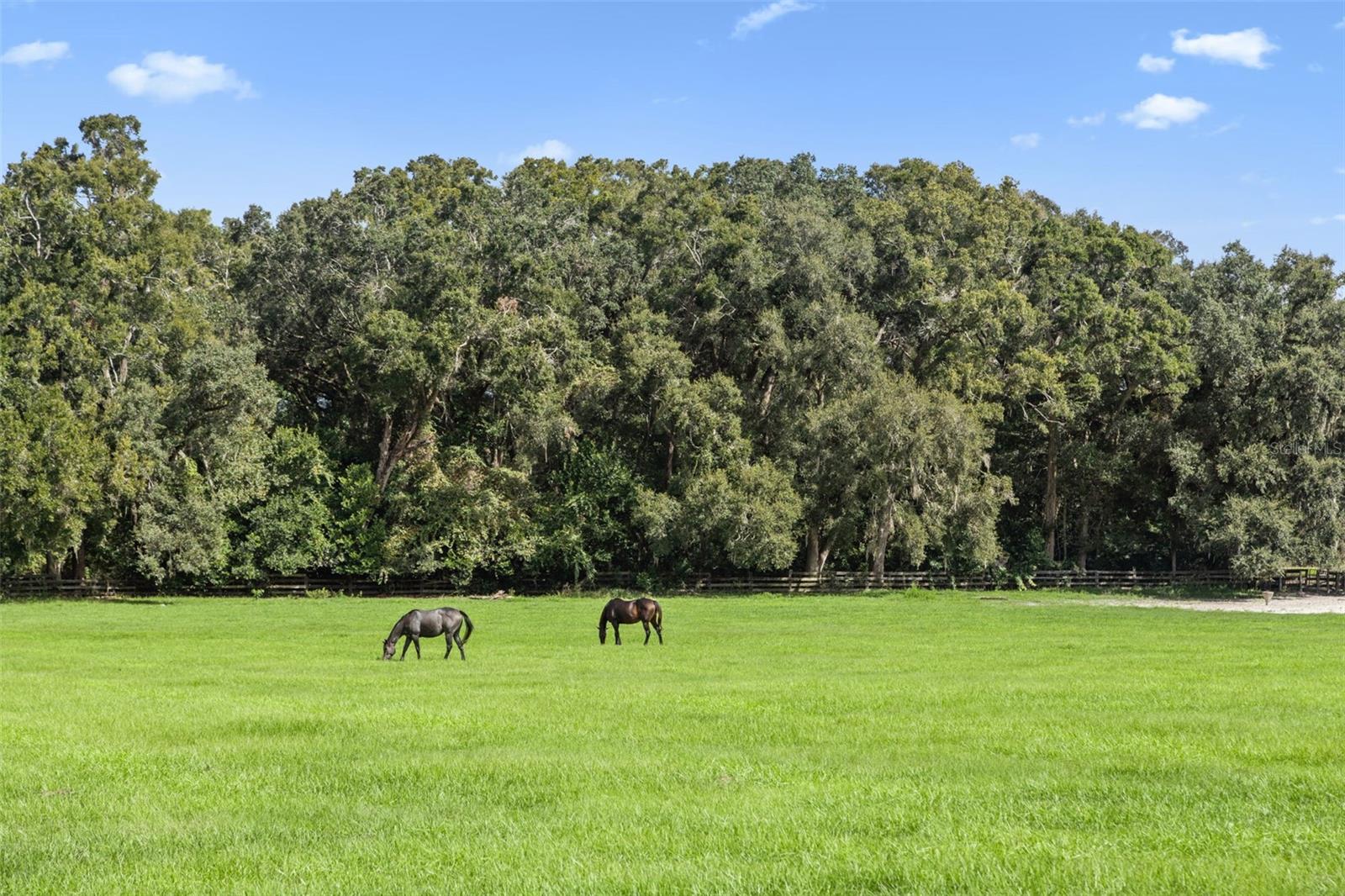 FARM NONSUB - Commercial Sale