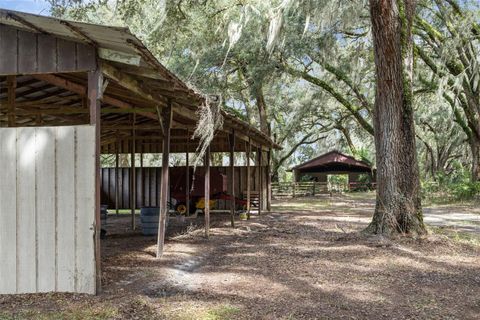 Tiny photo for 551 NE 200 Avenue, Williston, FL 32696 (MLS # O6351165)