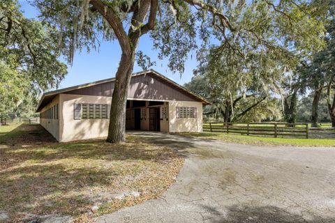 Tiny photo for 551 NE 200 Avenue, Williston, FL 32696 (MLS # O6351165)