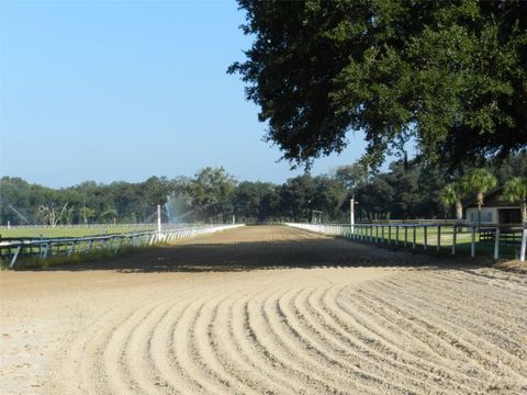 Tiny photo for 551 NE 200 Avenue, Williston, FL 32696 (MLS # O6351165)