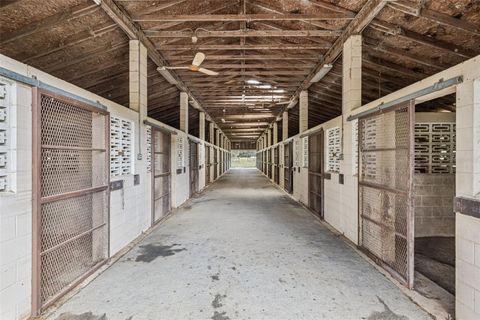 Tiny photo for 551 NE 200 Avenue, Williston, FL 32696 (MLS # O6351165)