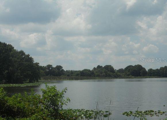 CYPRESS POINTE/LK ORLANDO - Residential