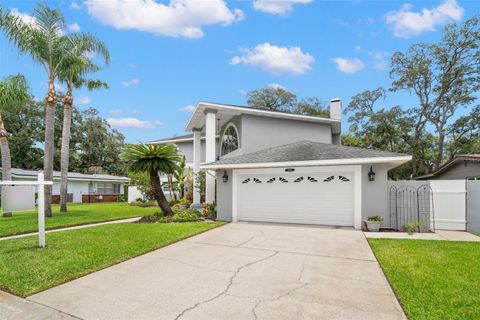 A home in TAMPA