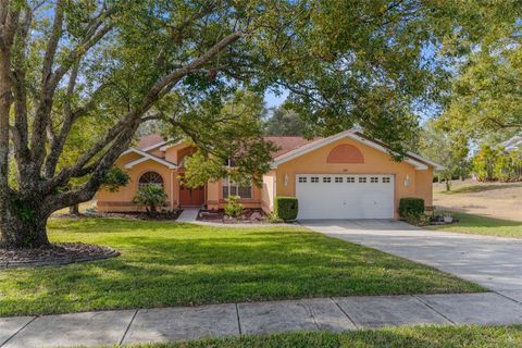 A home in SPRING HILL