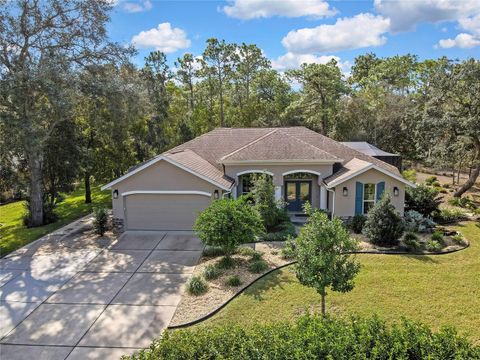 Tiny photo for 53 Corkwood Boulevard, Homosassa, FL 34446 (MLS # TB8444279)