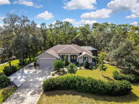 Tiny photo for 53 Corkwood Boulevard, Homosassa, FL 34446 (MLS # TB8444279)