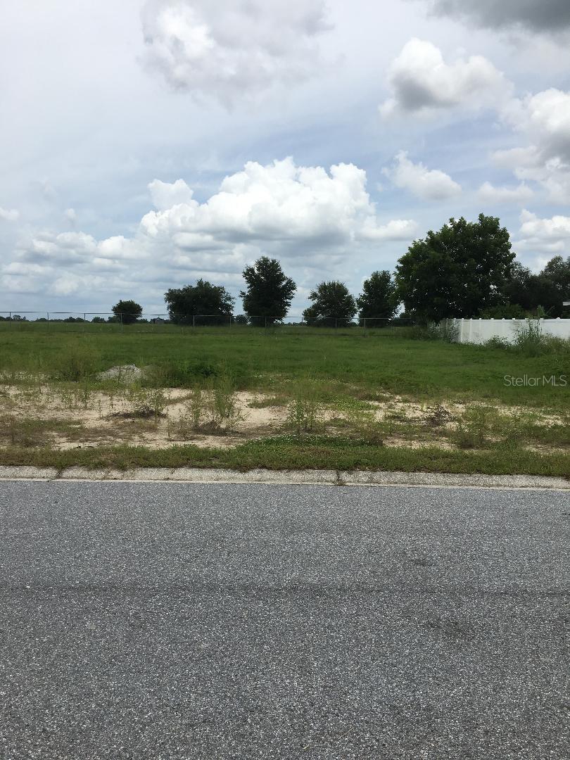 Large residential lot that will accommodate a variety of floor plans. Builder and building plans must be approved by Owner.