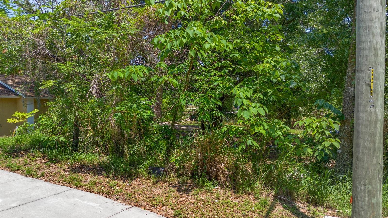 1521 CLARCONA ROAD