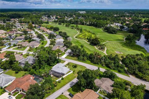 A home in PALM COAST