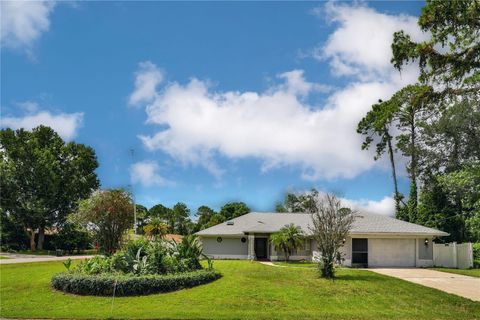 A home in PALM COAST