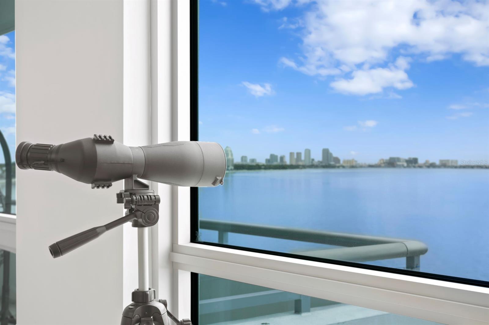 VIRAGE BAYSHORE - Residential