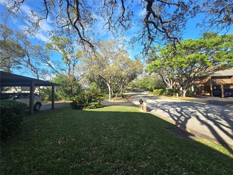 A home in PALM HARBOR