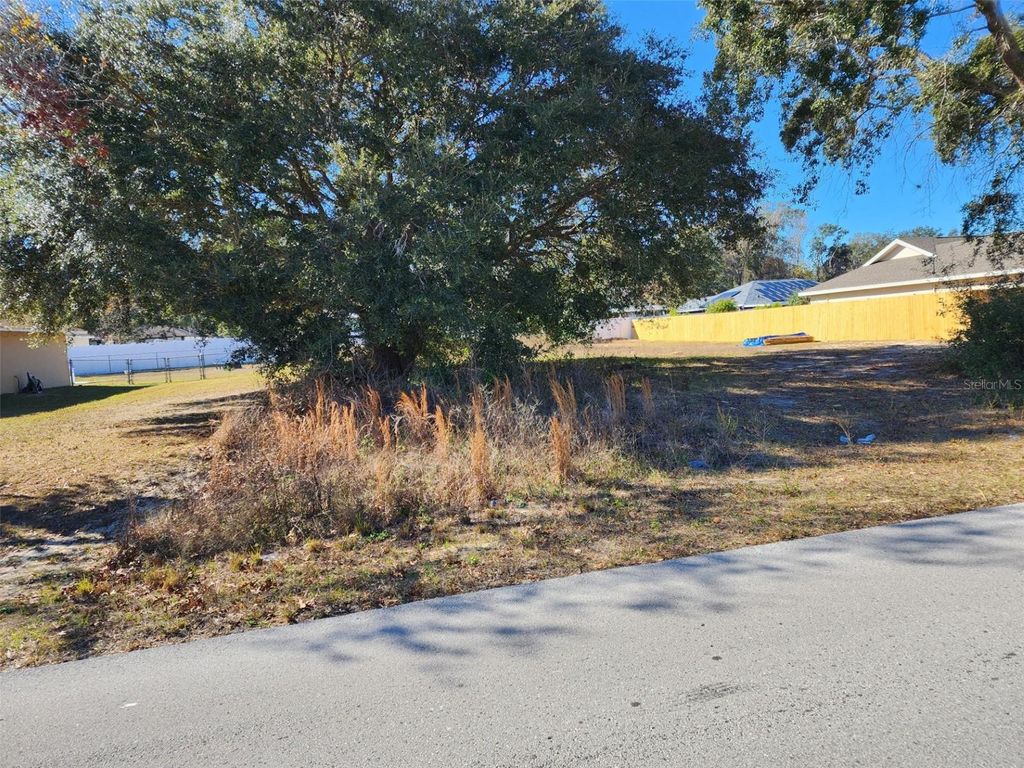 Photo of -0- Juniper Pass Drive, Ocala, FL 34480 (MLS # OM703595)