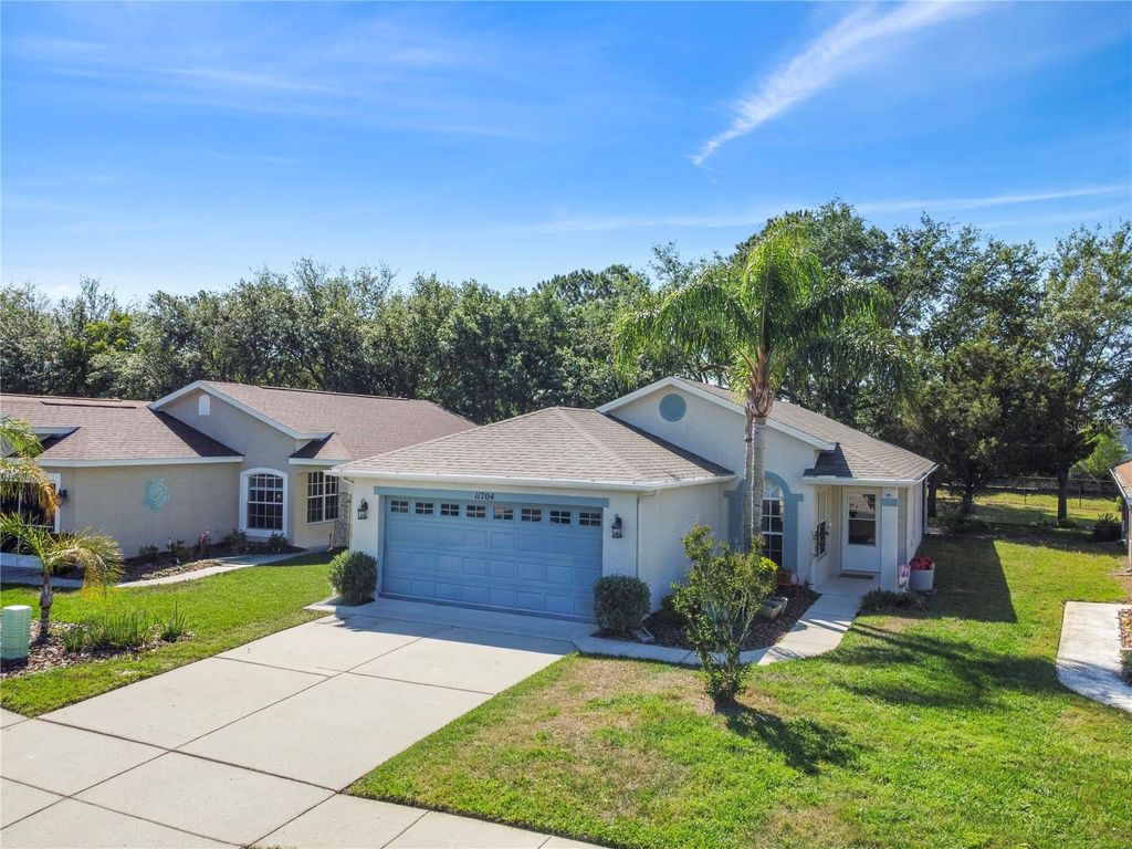 Photo of 11704 New Haven Drive, Spring Hill, FL 34609 (MLS # TB8498801)