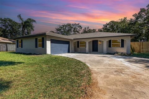 A home in APOPKA