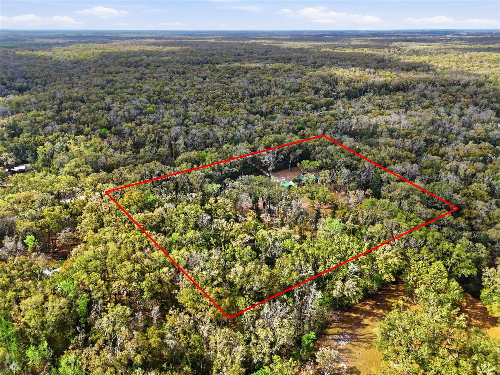 FLORIDA OAK FOREST - Residential