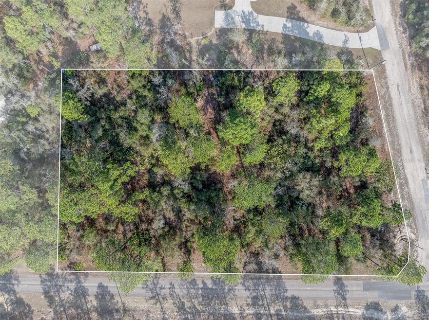 Beautiful Homesite in Citrus Springs!! This 1.57-acre corner lot is an incredible opportunity for builders, developers, investors, or homeowners looking to maximize potential in the growing community of Citrus Springs. With no HOA and plenty of room for a custom home, pool, or workshop, this lot offers endless possibilities. Enjoy the charm of a deeded neighborhood featuring well-maintained and affordably priced homes. The community provides access to the renowned Withlacoochee State Trail, great for biking, hiking, and scenic walks. Residents also enjoy a variety of amenities, including a library, a community center for events, illuminated tennis courts, and a park. The local golf course features a restaurant, putting greens, and a driving range, adding to the area's recreational appeal. With Citrus Springs continuing to expand, this is a great opportunity to invest in a thriving community and build your future home. It is conveniently located just minutes from boating, fishing, diving, beautiful freshwater springs, restaurants, shopping, medical services, supermarkets, and more. And do not forget the excellent school system. High and Dry. Not in a Flood Zone. Enjoy The Florida Lifestyle! Experience All That Citrus County Has, Including The Crystal & Homosassa Rivers With Direct Access To The Gulf Of America, Tube & Kayak On The Crystal Clear Rainbow River, Fishing on Popular Lake Rousseau & Tsala Apopka Chain of Lakes, Walking & Biking On The Rails To Trails & Much More. Don't Forget To View The Manatees & The Most Magnificent Gulf Sunsets! Don’t miss your chance to own a slice of Florida paradise in one of Citrus County’s fastest-growing areas!  SEE IT TODAY!