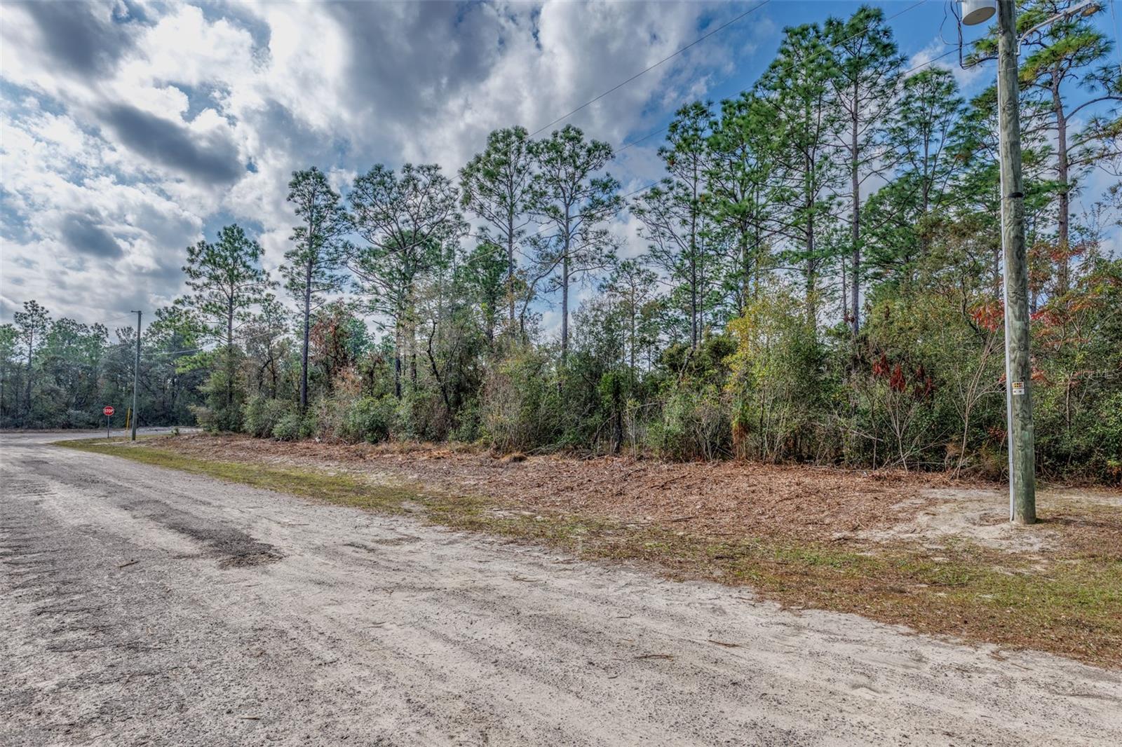 CITRUS SPGS UNIT 12 - Land