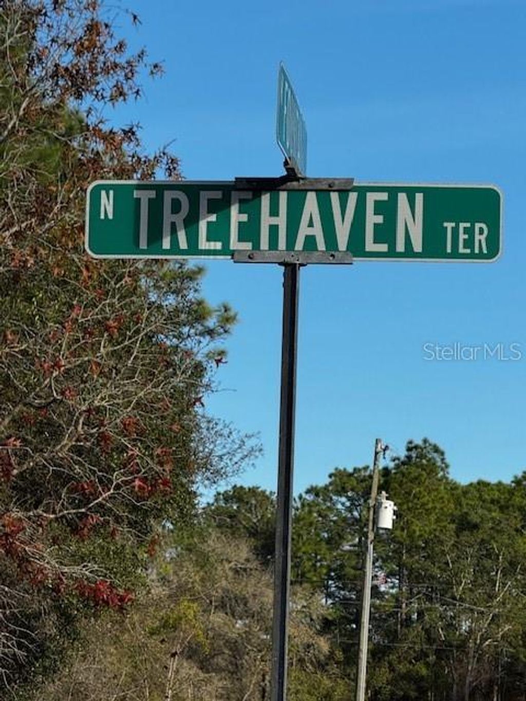 Photo of 7082 N Treehaven Terrace, Citrus Springs, FL 34433 (MLS # TB8461671)