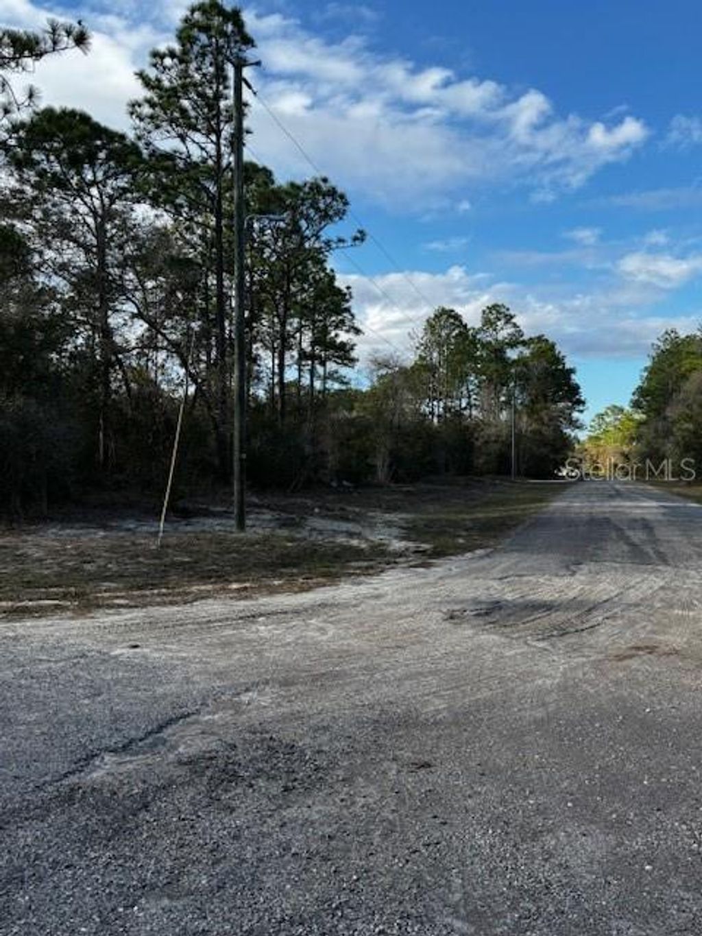 Photo of 7082 N Treehaven Terrace, Citrus Springs, FL 34433 (MLS # TB8461671)