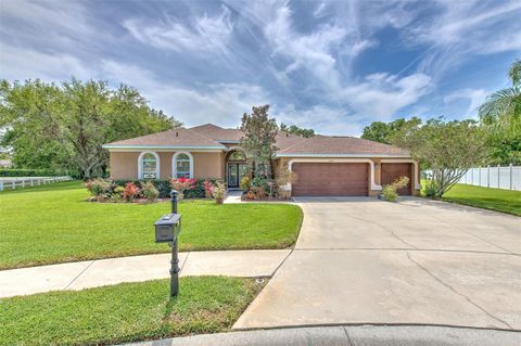 3217 PARTRIDGE POINT TRAIL VALRICO FL 33596