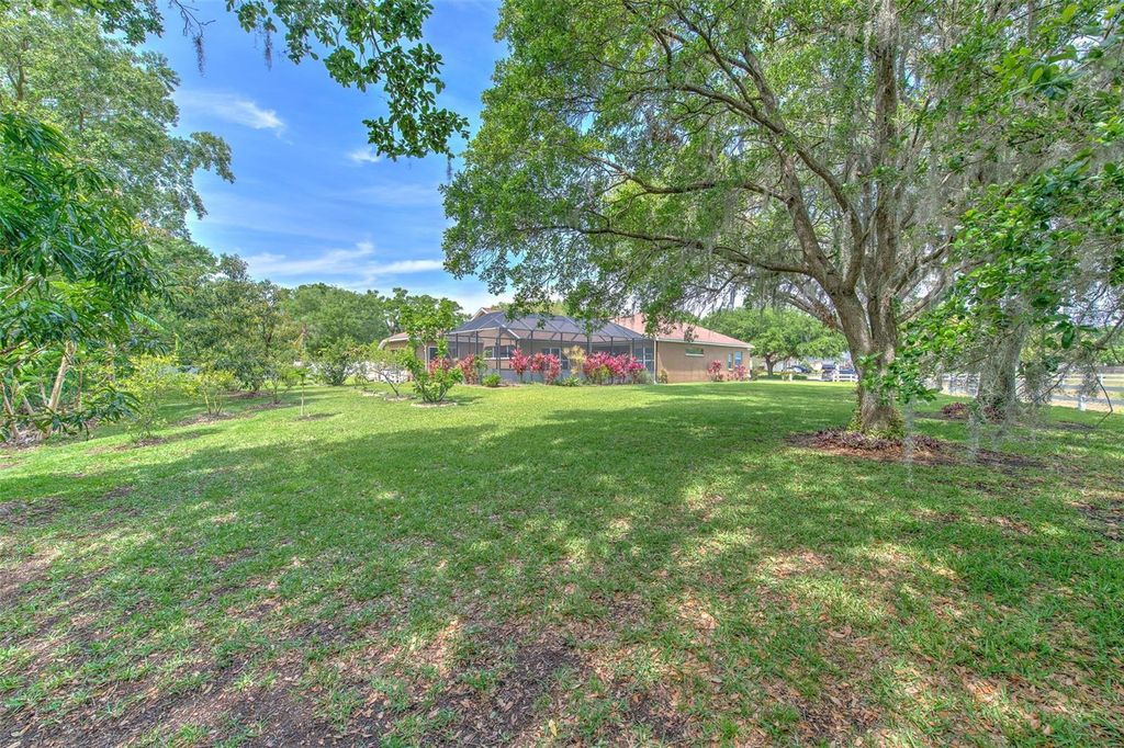listing image 58