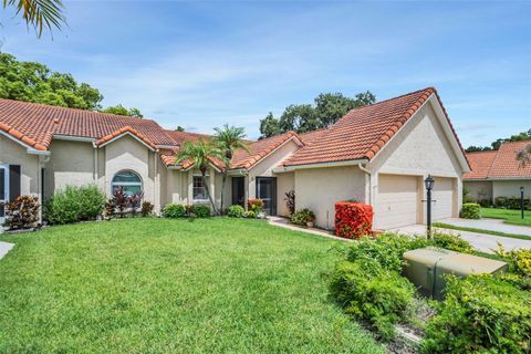 1164 RUSTLEWOOD COURT PALM HARBOR FL 34684